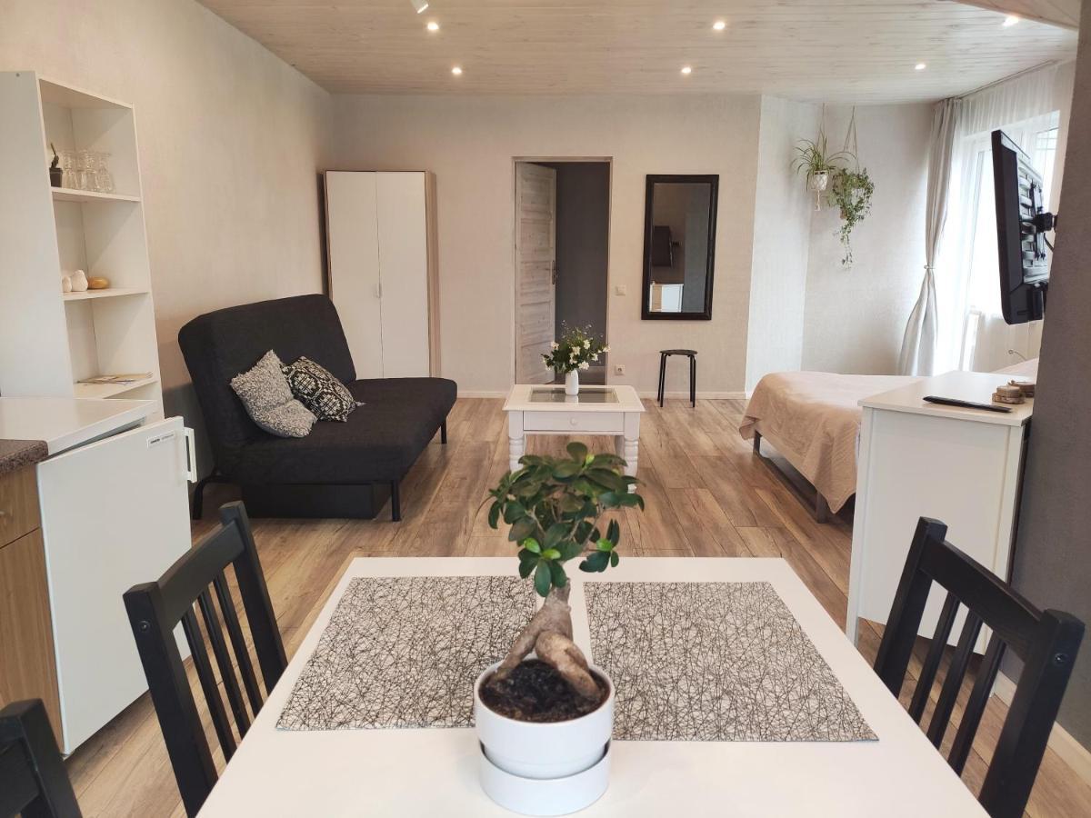 Family House Ξενοδοχείο Ντρουσκινινκάι Εξωτερικό φωτογραφία