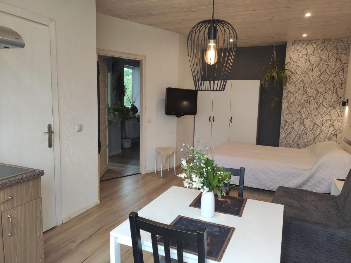 Family House Ξενοδοχείο Ντρουσκινινκάι Εξωτερικό φωτογραφία