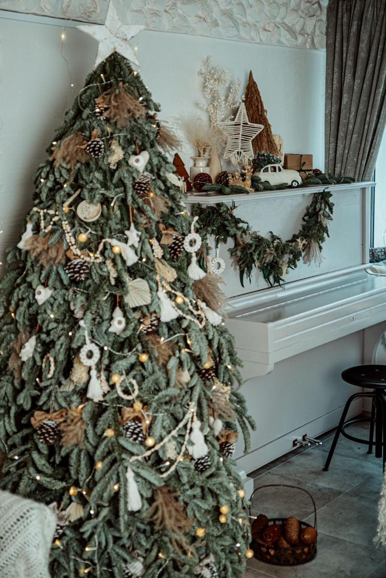 Family House Ξενοδοχείο Ντρουσκινινκάι Εξωτερικό φωτογραφία
